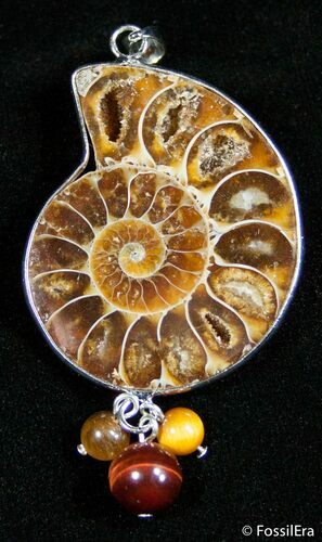Polished Ammonite Pendant #2589
